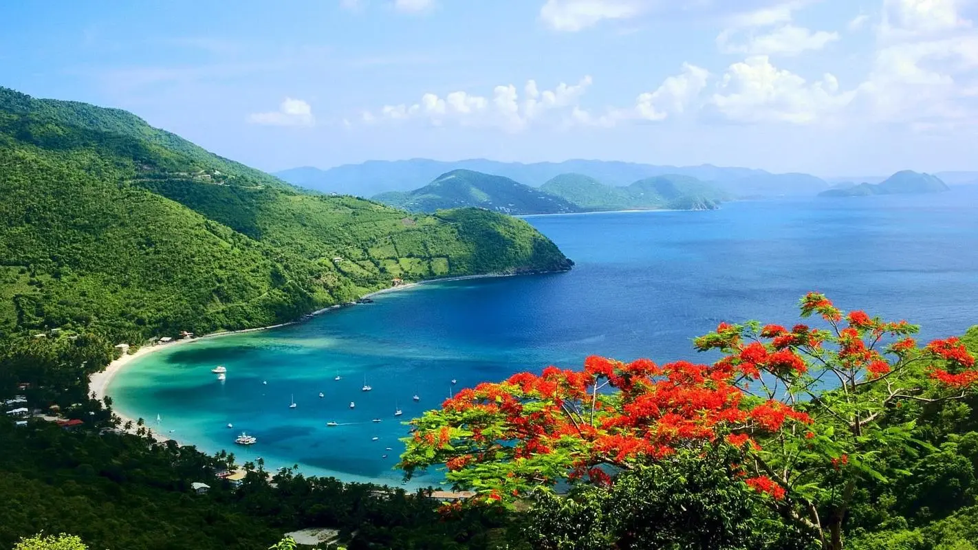 高端智能创意